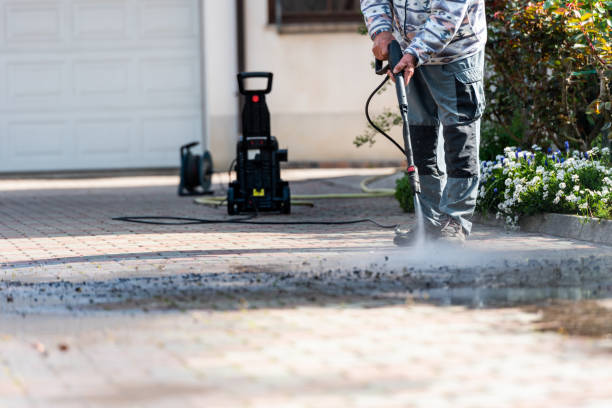 Best Roof Pressure Washing  in Medina, TN